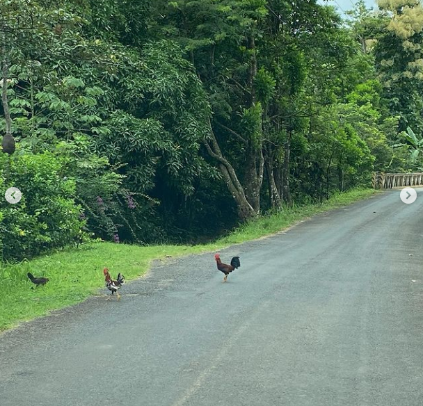 Santapoules